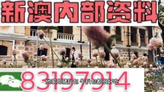 唾弃:新澳门免费精准大全,的警惕虚假宣传-全面释义、解释与落实
